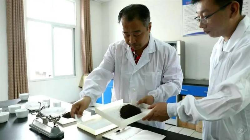 赵李桥茶厂代表性传承人陈军海创新工作室获评咸宁市职工（劳模、工匠）创新工作室