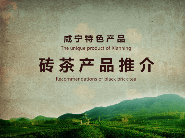 青砖茶：共同走进东南亚！