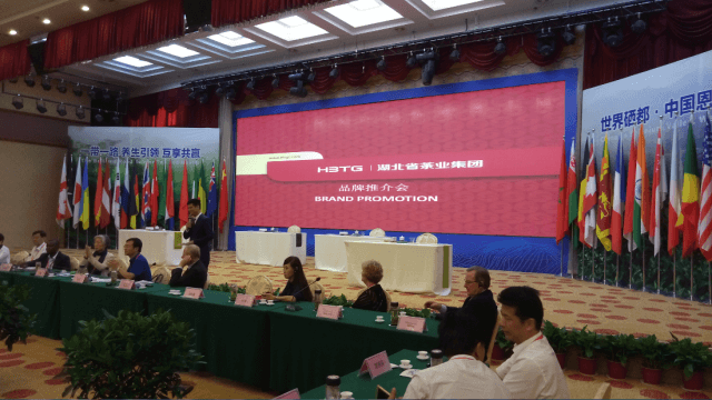 打造湖北茶企远行航母，助推鄂茶产业转型升级 -------湖北省茶业集团品牌推介会于恩施成功举行