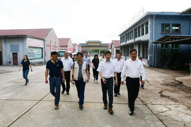 蜚声中外川字茶 非遗传承引关注