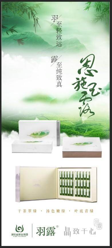 春意盎然，羽露上新