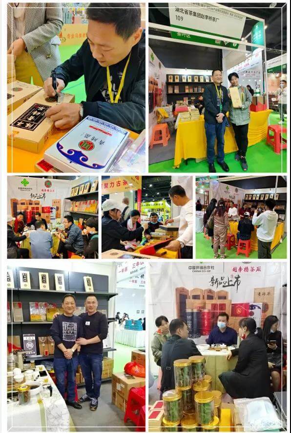 川字茶香飘八桂-南宁茶博会圆满落幕