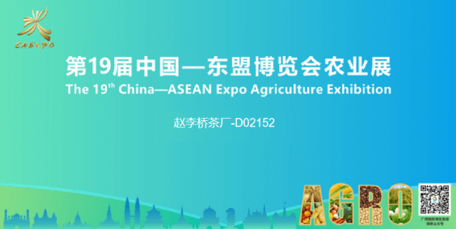 初闻茶语香，又见“川”字茶 —赵李桥茶厂青（米）砖茶亮相东盟博览会