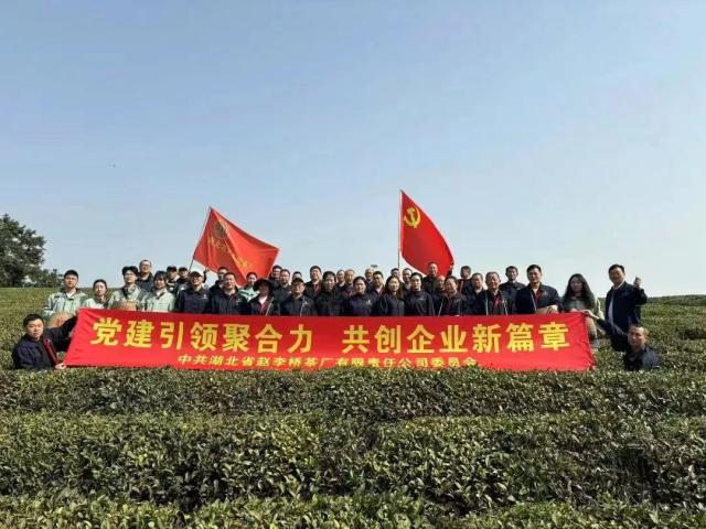 党建引领聚合力 共创企业新篇章——湖北省赵李桥茶厂开展党建活动